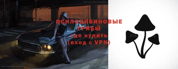 соль ск Вязники
