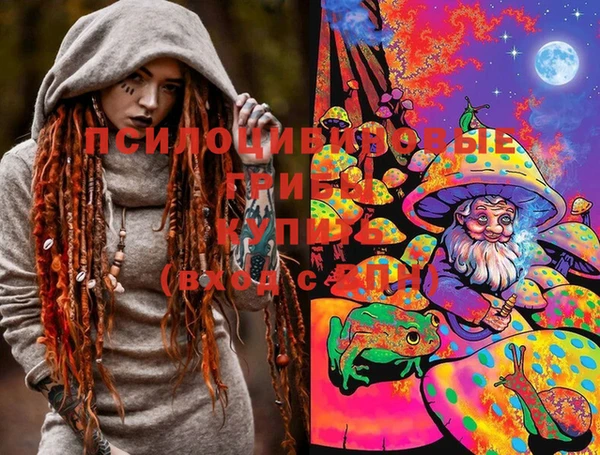 бошки Вяземский