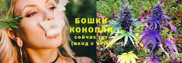 бошки Вяземский